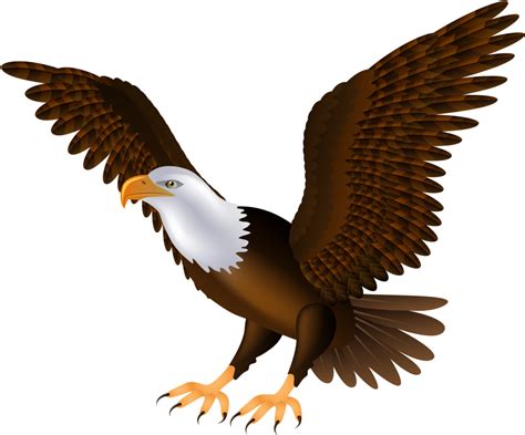 Eagle Png Clip Art 1454 Clipart Of Transparent Background Eagle