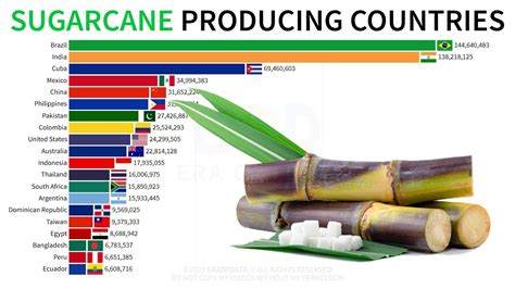 Top 20 Sugarcane Producing Countries In The World 1961 2018 Era Of