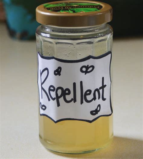 Homemade All Natural Mosquito Repellent A Good Tired