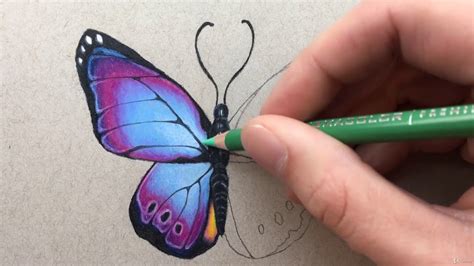 Pencil Colour Drawing For Beginners
