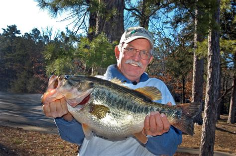 Will Tiger Bass Transform Grand Lake Fishing