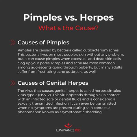 genital herpes or pimples how to tell the difference