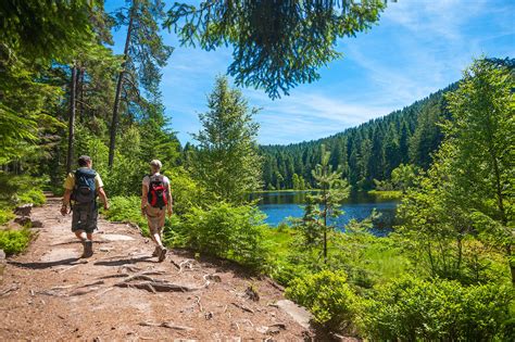Best Hikes In Germany Lonely Planet