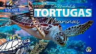 16: de junio: Día Mundial de las Tortugas Marinas - VPITV