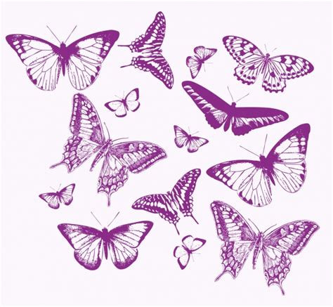 Butterfly Set Stencil Clipart Free Stock Photo Public Domain Pictures