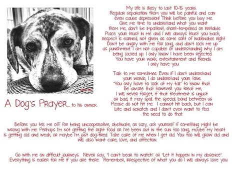 Prayer For Loss Of Pet Dog Pets Reference