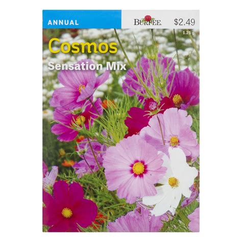 Save On Burpee Annual Cosmos Sensation Mix Seeds Order Online Delivery