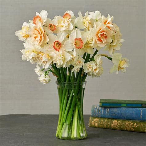 Heirloom Daffodil Bouquet White Flower Farm