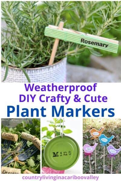 Weatherproof Diy Plant Markers Cute And Creative Craft In 2021 Plant