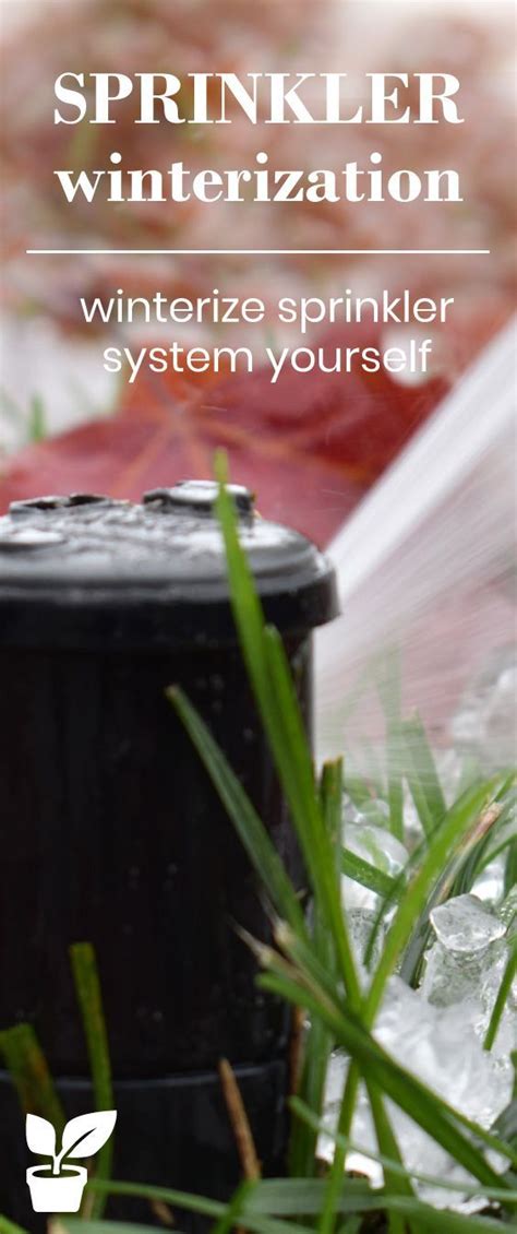 Diy it's easy & cheap. Sprinkler winterization - How do I winterize my irrigation system? | Winterize sprinkler system ...