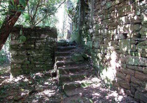 Ruins In Argentina Jungle May Be Secret Nazi Hideout