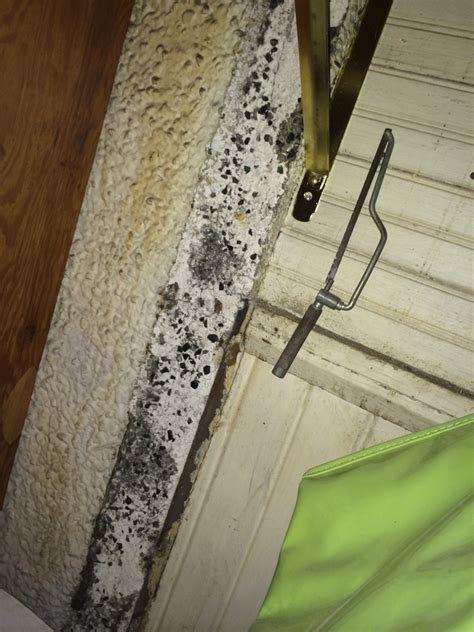 Ad by iq test institute. HELP! Mold Removal In Basement - Is This Black Mold? | DIY ...