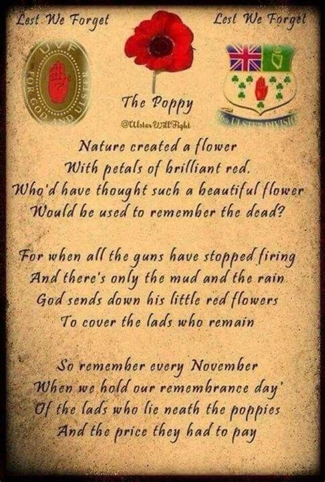 Pin By Rosemary Hunt On Poppies Remembrance Day Quotes Remembrance