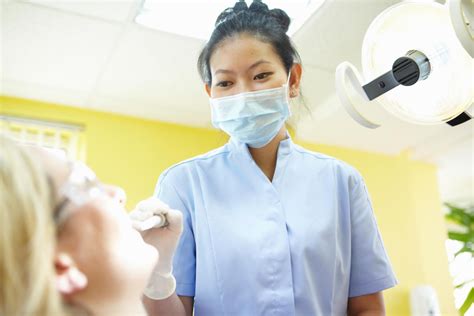 Types Of Dentists And Related Careers In Dentistry