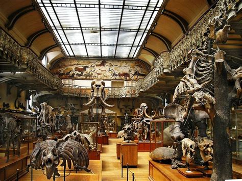 Natural History Museum Of Paris Photo By Viajante Intencional On