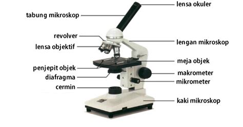 Bagian Bagian Mikroskop Dan Cara Menggunakannya
