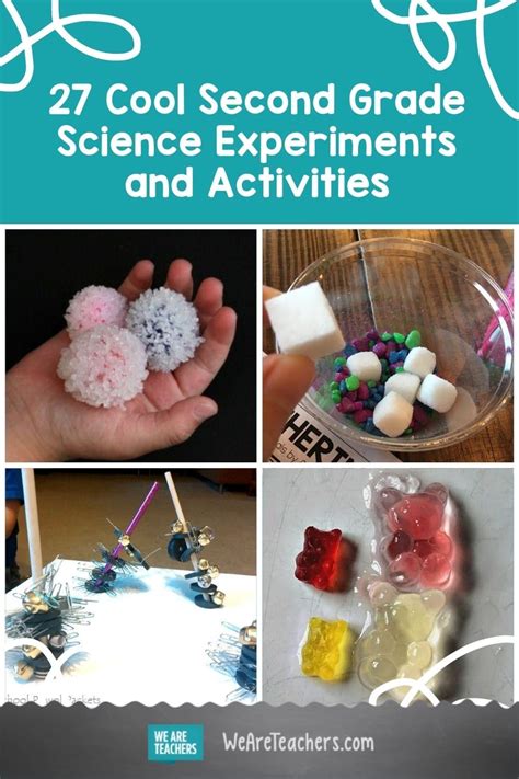 27 Cool Second Grade Science Experiments And Activities For The