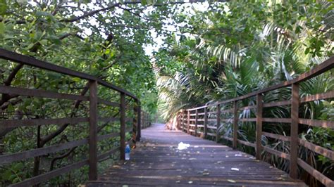 Sejuknya Hutan Wisata Baning Hutan Tropis Tengah Kota Sintang