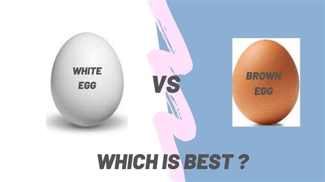White Eggs Vs Brown Eggs Is Brown Eggs Healthier Than White Eggs