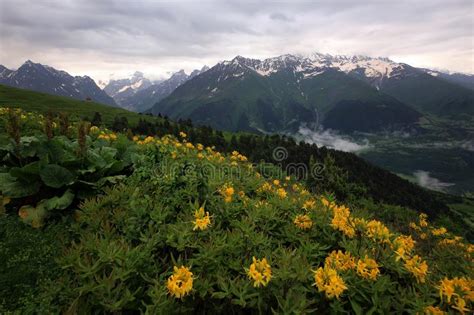 Mountain Village And Meadow Stock Image Image Of Village Piano 17360561