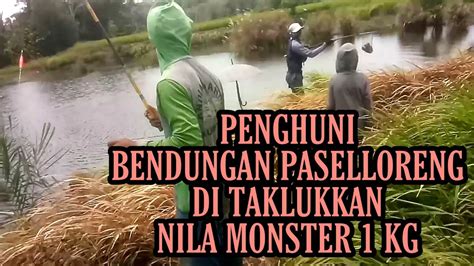 Coba Coba Mancing Bareng Di Bendungan Paselloreng Gilireng Wajo Ikan Nila Monster Sukses