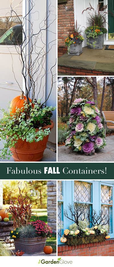 Fabulous Fall Container Ideas The Garden Glove