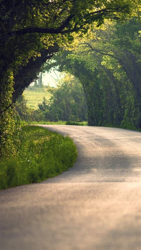 Nature Wallpaper Summer Nature Road Leaves Trees 90616