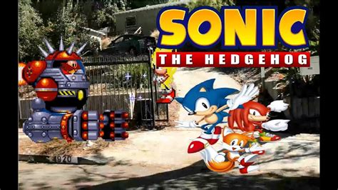 Sonic The Hedgehog In Real Life Youtube