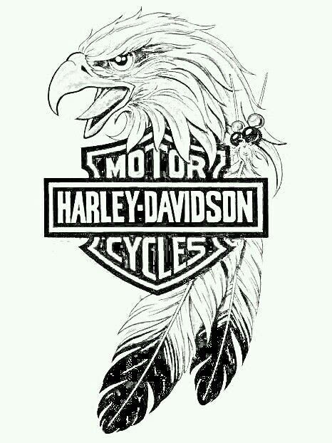 Harley Davidson Decals Harley Davidson Artwork Harley Davidson
