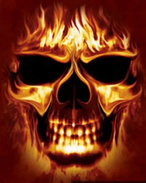 Cool Skull Skull Wallpaper Skull Fire Skull Pictures