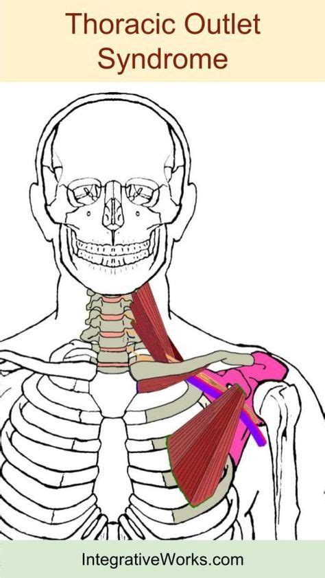 Pain Along The Collar Bone And Arm Integrative Works Massage Tips