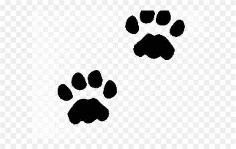 Cat Footprint Clipart 10 Free Cliparts Download Images On Clipground 2023