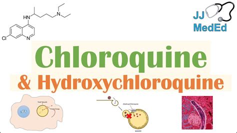 Mechanism of action nasal steroids. Chloroquine & Hydroxychloroquine | Mechanism of Action ...