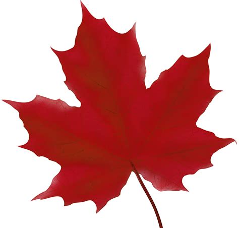 Maple Leaf Red Png Clip Art Image Gallery Yopriceville High Quality