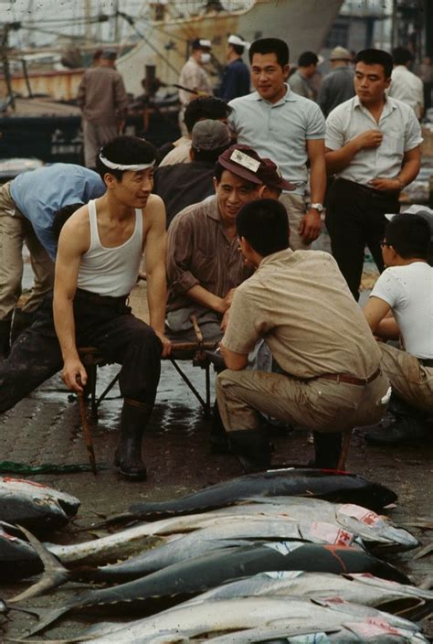 Tokyo Fish Market 1964 Ph Brian Brake Vintage Japan