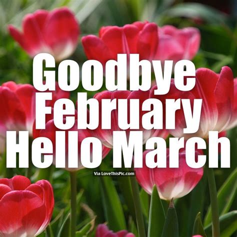 Goodbye February Hello March Hello March Quotes Hello March Hello