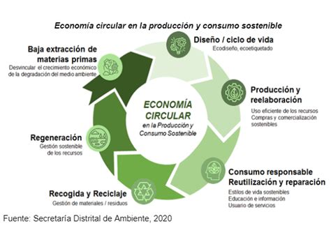 Qué es la economía circular Observatorio Ambiental de Bogotá