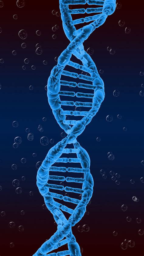 Dna Structure Twisted Genetics Spiral Blue Hd Phone Wallpaper Peakpx