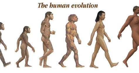 The Evolution Of Human Body Has Always Nudged At Our Curiosity According To A Recent Study