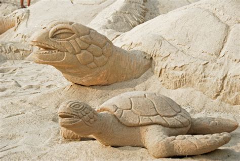 Richard Reitman Photography Sea Turtle Release Ceremony Sand Sculpture
