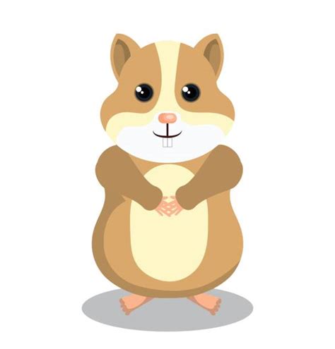 Hamster Illustrations Royalty Free Vector Graphics And Clip Art Istock