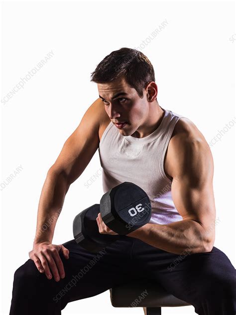 Man Lifting Weights Stock Image F0189565 Science Photo Library