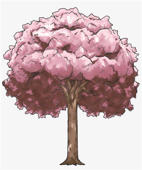 Sakura Tree Zomg By Puremrz On Deviantart Clip Royalty Cherry Blossom