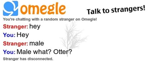 Talk To Strangers Youre Chatting With A Random Stranger On Omegle
