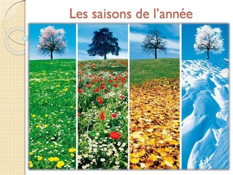 Les Saisons De Lannée Online Presentation