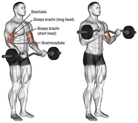Pratimai Rankoms Bicepsui Tricepsui Sportuojantyslt