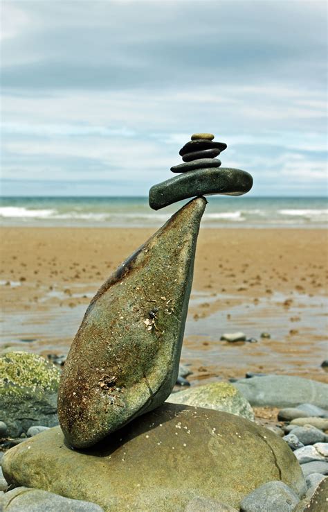 Rock Bird Photo Taken By Mal Vickerson July 24 2012 In Penmaenmawr