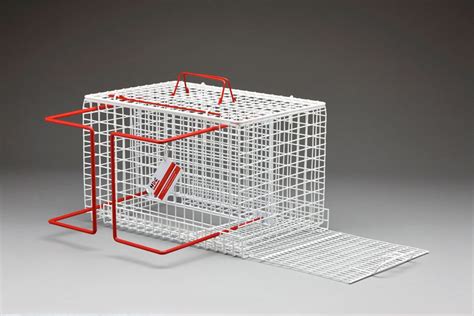 Crush Cage Restrainer Or Nurses Best Friend Mdc Exports