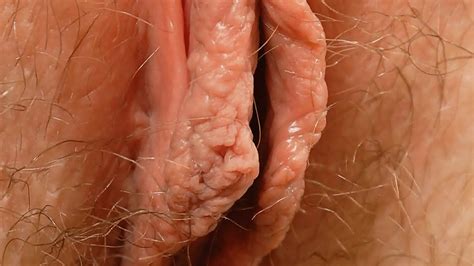 Hairy Vagina Close Up Telegraph
