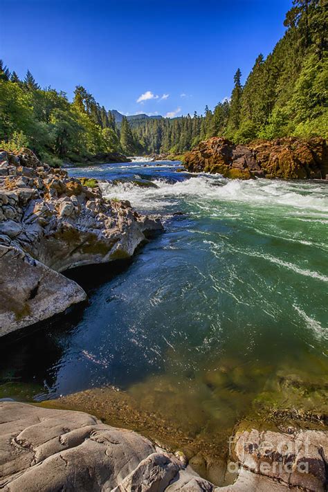 Umpqua River Photograph By David Millenheft